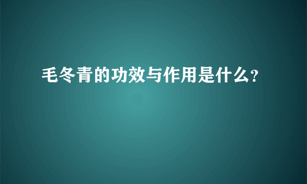 毛冬青的功效与作用是什么？