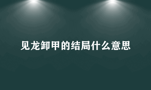 见龙卸甲的结局什么意思