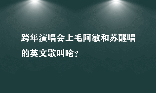 跨年演唱会上毛阿敏和苏醒唱的英文歌叫啥？