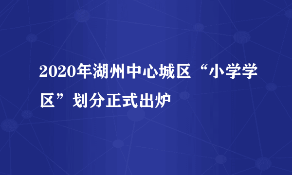 2020年湖州中心城区“小学学区”划分正式出炉