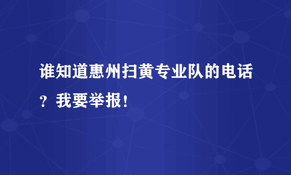 谁知道惠州扫黄专业队的电话？我要举报！