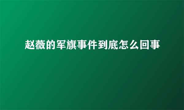 赵薇的军旗事件到底怎么回事