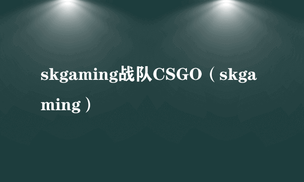 skgaming战队CSGO（skgaming）