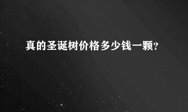 真的圣诞树价格多少钱一颗？