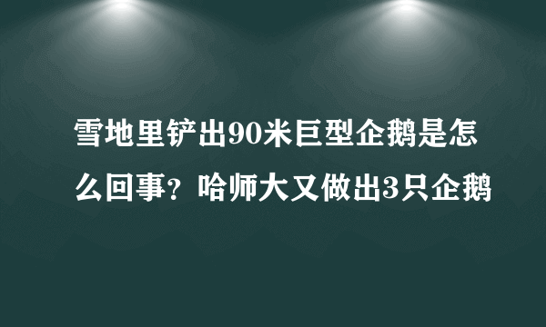 雪地里铲出90米巨型企鹅是怎么回事？哈师大又做出3只企鹅