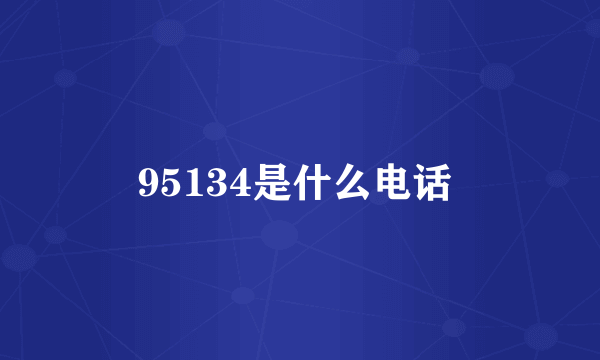 95134是什么电话 