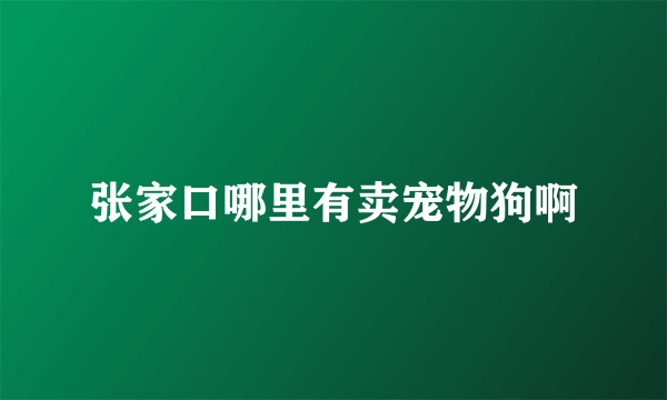 张家口哪里有卖宠物狗啊