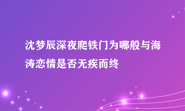 沈梦辰深夜爬铁门为哪般与海涛恋情是否无疾而终