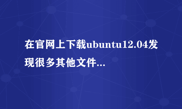 在官网上下载ubuntu12.04发现很多其他文件，请大神解释一下（如图）