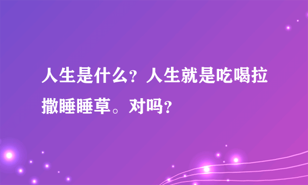 人生是什么？人生就是吃喝拉撒睡睡草。对吗？