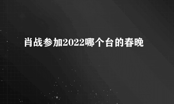 肖战参加2022哪个台的春晚