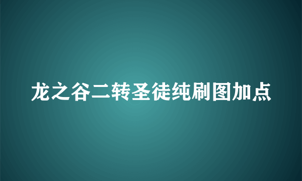 龙之谷二转圣徒纯刷图加点