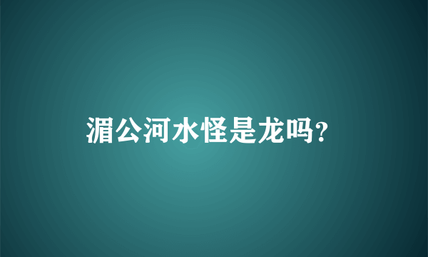 湄公河水怪是龙吗？