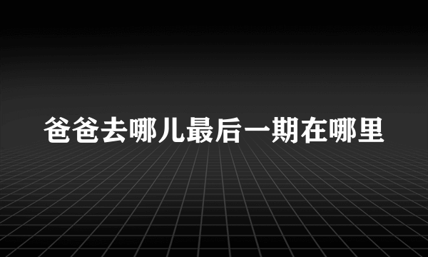 爸爸去哪儿最后一期在哪里