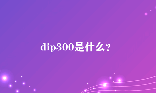 dip300是什么？