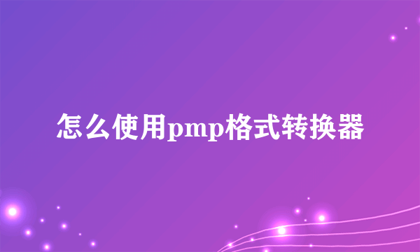 怎么使用pmp格式转换器