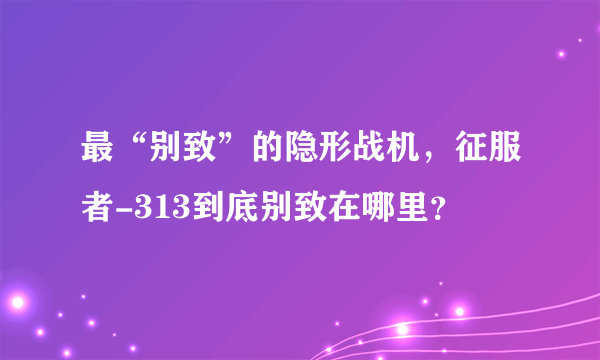 最“别致”的隐形战机，征服者-313到底别致在哪里？