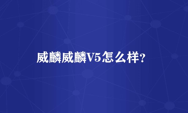 威麟威麟V5怎么样？