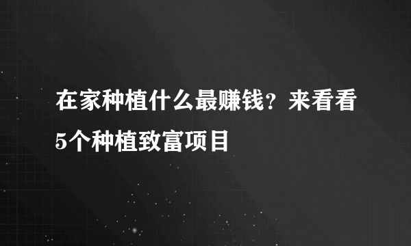 在家种植什么最赚钱？来看看5个种植致富项目