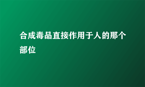 合成毒品直接作用于人的那个部位