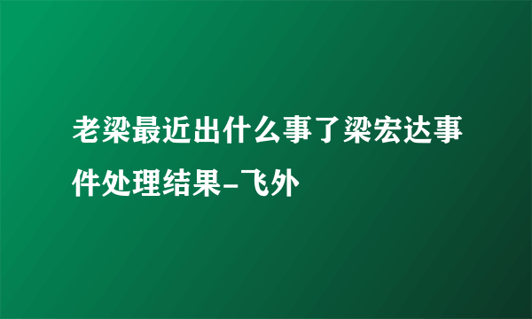 老梁最近出什么事了梁宏达事件处理结果-飞外