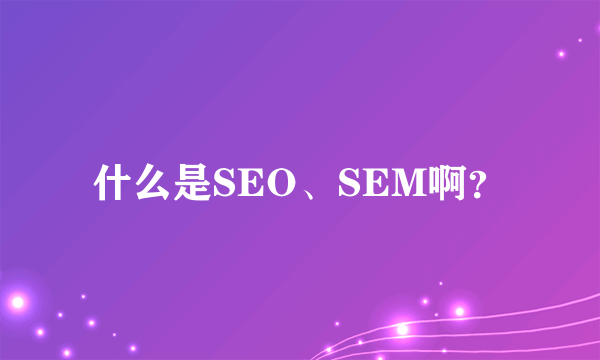 什么是SEO、SEM啊？