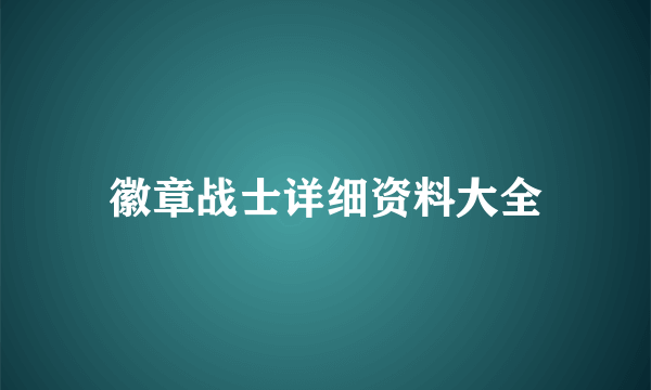 徽章战士详细资料大全