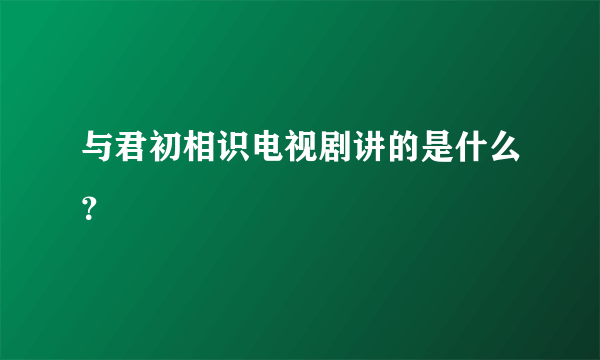 与君初相识电视剧讲的是什么？