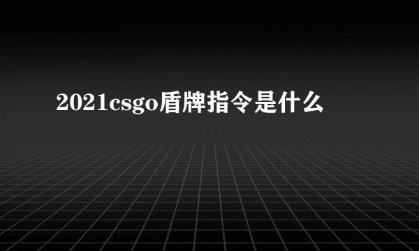 2021csgo盾牌指令是什么