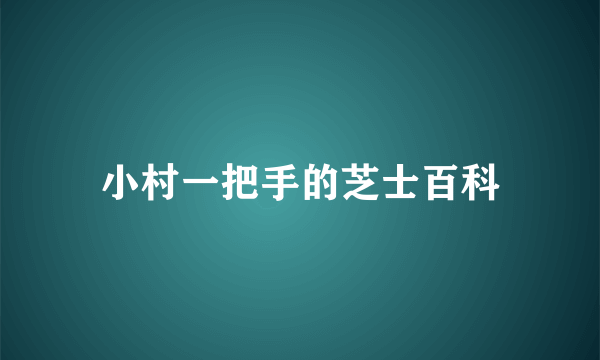 小村一把手的芝士百科