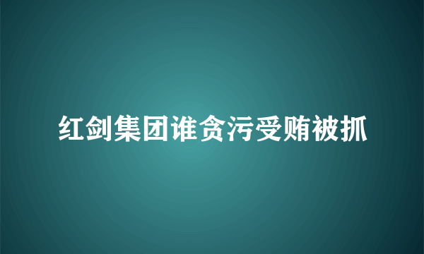 红剑集团谁贪污受贿被抓