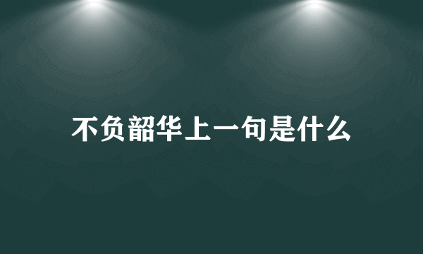 不负韶华上一句是什么