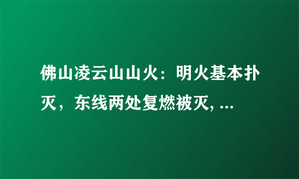 佛山凌云山山火：明火基本扑灭，东线两处复燃被灭, 你怎么看？