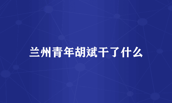 兰州青年胡斌干了什么