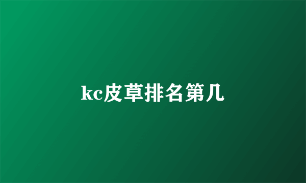 kc皮草排名第几