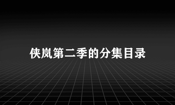 侠岚第二季的分集目录