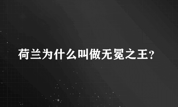 荷兰为什么叫做无冕之王？