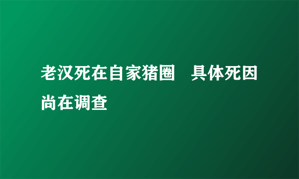 老汉死在自家猪圈   具体死因尚在调查