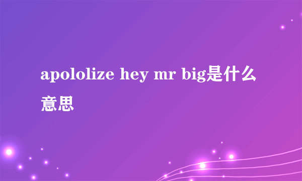 apololize hey mr big是什么意思