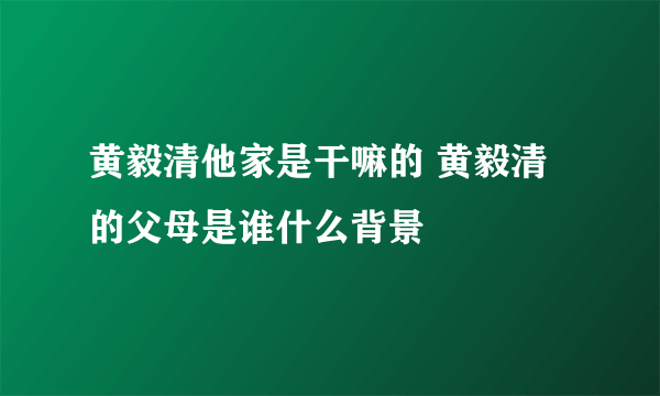 黄毅清他家是干嘛的 黄毅清的父母是谁什么背景