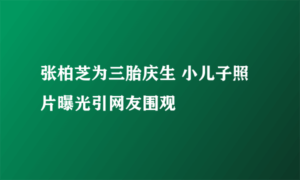 张柏芝为三胎庆生 小儿子照片曝光引网友围观