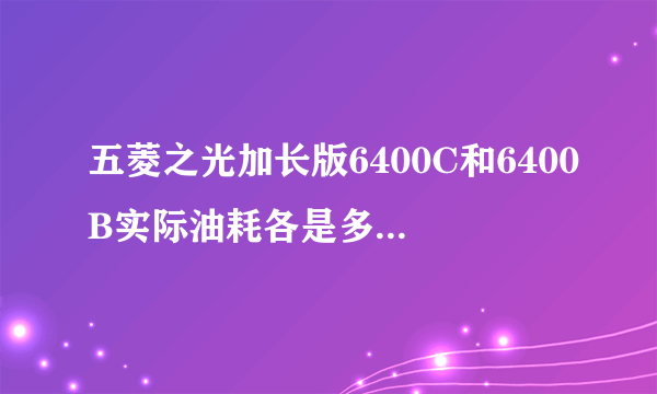 五菱之光加长版6400C和6400B实际油耗各是多少？哪个省油