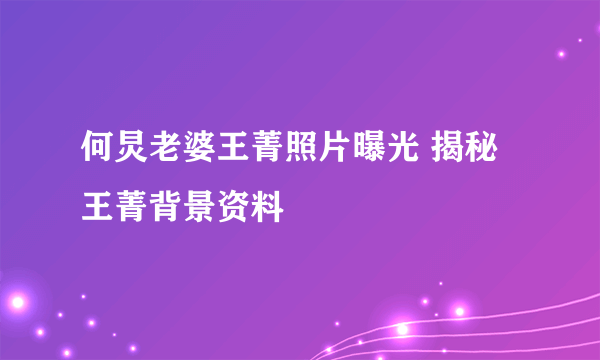 何炅老婆王菁照片曝光 揭秘王菁背景资料