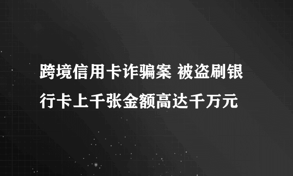 跨境信用卡诈骗案 被盗刷银行卡上千张金额高达千万元