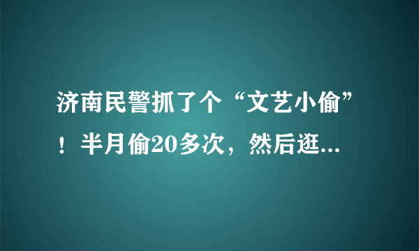 济南民警抓了个“文艺小偷”！半月偷20多次，然后逛景点，你怎么看？