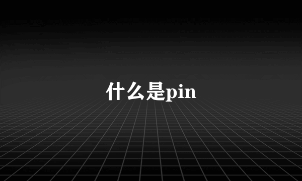 什么是pin