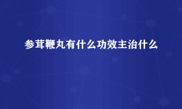 参茸鞭丸有什么功效主治什么