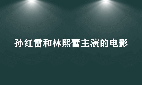 孙红雷和林熙蕾主演的电影