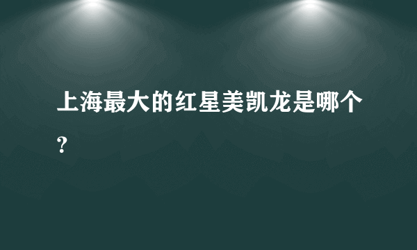 上海最大的红星美凯龙是哪个？