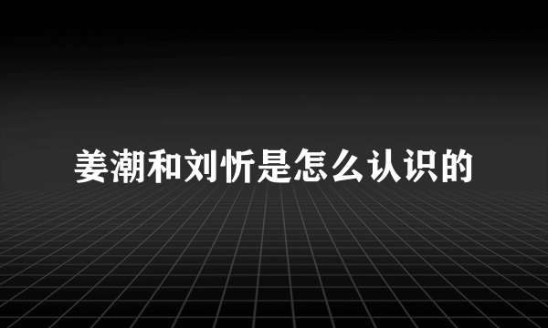 姜潮和刘忻是怎么认识的